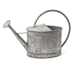 Regadera de metal de primera calidad que garantiza una suministro constante de agua, perfecta para mantener plantas verdes y saludables. - Product Image 3