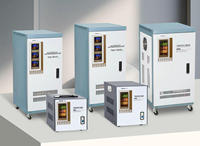 Régulateur de tension AC monophasé en cuivre haute précision 3kVA 220V, sortie industrielle, entièrement automatique, affichage numérique
