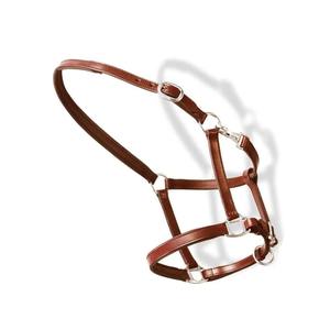 Cabestro para Caballo Resistente con Diseño Ajustable para Entrenamiento, Manejo, Seguridad en el Establo y Cuidado Ecuestre Diario - Product Image 3