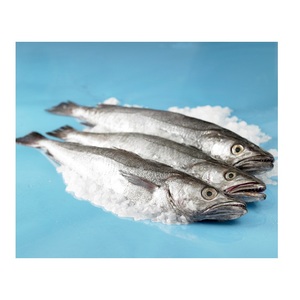 Mayorista y Proveedor de Pescado Congelado: Bacalao HGT / Pescado Entero de la Mejor Calidad, al Mejor Precio de Fábrica, Compra al por Mayor en Línea - Product Image 3