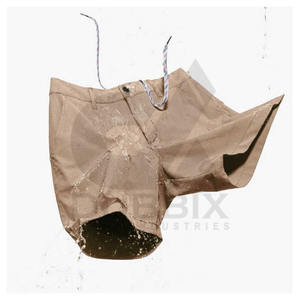 Usine directe Shorts décontractés pour hommes Shorts de bain hommes léger Logo personnalisé 100% coton cordon femmes Shorts bon prix - Product Image 6