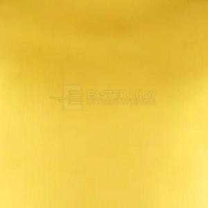 Camiseta Deportiva de Manga Larga para Hombre, de Primera Calidad, Personalizable, Cómoda, Suave al Tacto, para Entrenamiento Diario y Sesiones Deportivas - Product Image 6