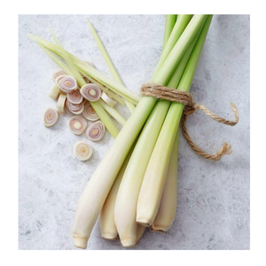 Exportación de hierba de limón congelada, tallos enteros y palitos cortados de hierba de limón congelada para cocinar hierba de limón congelada, productor de Vietnam - Product Image 1