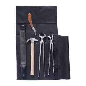 Kit de herramientas para herradores de la mejor calidad, herramienta para herradores de caballos, instrumentos veterinarios, pinzas para pezuñas, extractores de zapatos, juego fabricado por CEC - Product Image 2