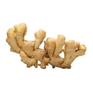 <b>Fresh</b> <b>Ginger</b> FOR SALE - Product Image 1