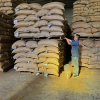 Café Robusta | Écran propre 16/18, approvisionnement en grains verts en vrac (Esther)