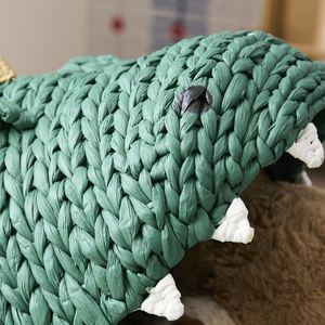 NOUVEAU PRODUIT! Tienphong gros tissé à la main vert jacinthe d'eau dinosaure panier de rangement pour vêtements? stockage de jouets - Product Image 5