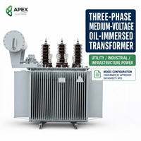 Transformateur de distribution immergé dans l'huile triphasé APEX S13 1000-2500 kVA 22 kV/400-415 V pour projets EPC d'infrastructure 50/60 Hz