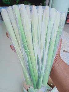 Hierba de limón congelada competitiva al mejor precio de exportación de Vietnam - Product Image 2