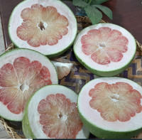 Verse Groene Huid Pomelo Grapefruit Citrus Export Wereldwijd Beste Kwaliteit Gezond Van Zuid-Mekong Fabrikant + 84786436556