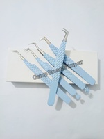 Pinzas para Extensión de Pestañas de Alta Calidad, Diferentes Estilos, Recubrimiento en Polvo Azul Claro con Diseño de Copo de Nieve, Logotipo Personalizado, Instrumento de Belleza
