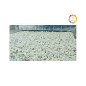 Vietnam Factory Export IQF Pitaya blanc surgelé Fruits de la meilleure qualité pour les importateurs et distributeurs mondiaux - Product Image 5