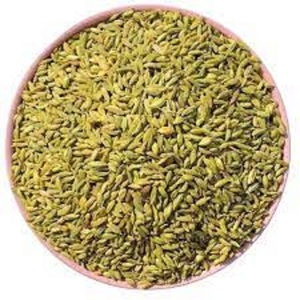 Vente en gros de poudre d'extrait de graines de fenouil séchées naturelles pures de haute qualité à 99% de pureté, épices uniques - Product Image 6