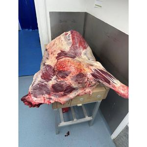 ซากเนื้อทั้งยุโรปพรีเมี่ยมผ่านการแปรรูปอย่างเชี่ยวชาญสำหรับการขายส่งและขายปลีก (มีให้เลือกทั้งแบบครึ่งหรือไตรมาส) - Product Image 6