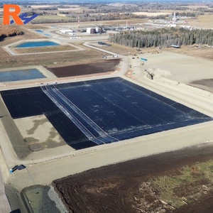 Geomembrana de HDPE de 2.0 mm de Alta Resistencia y Anti-Filtraciones para Estanques de Biogás Industriales y Laguna de Aguas Residuales - Product Image 3