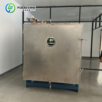 Automatische Chili Cherry Fruit en Groente Vacuüm Vriesdroogmachine Lyofilisator te Koop
