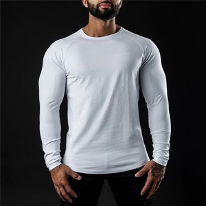 2025 Slim Fit hommes col rond coton T-Shirt impression de Logo personnalisé tissu de haute qualité OEM Service grande taille - Product Image 1