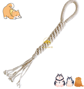 ของเล่นสำหรับเคี้ยวสายทำจากผ้าฝ้ายเนื้อนุ่มเป็นมิตรต่อสิ่งแวดล้อมสำหรับสุนัข Hoang Linh SG MS Kimy + 84938616690 - Product Image 5