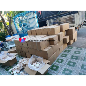 SUMINISTRO DE CONCHAS DE VIEIRA - CONCHAS MARINAS DE VIETNAM CON LA MEJOR CALIDAD/ Sra. Lima - Product Image 6