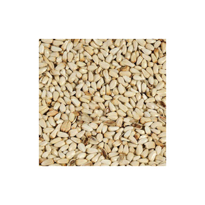 Suministro a granel de semillas de cártamo para agricultura y procesamiento - Product Image 5