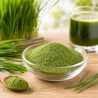 Poudre d'herbe de blé de qualité supérieure, ingrédient naturel de superaliments à base de feuilles d'herbe de blé, marque privée, approvisionnement en vrac direct usine