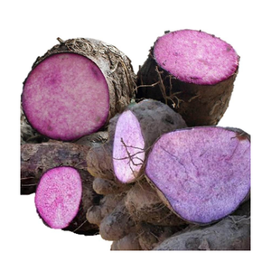2025, venta al por mayor, ñame púrpura orgánico, recién cosechado, cultivado en la granja, raíz de ñame púrpura sin OMG, Exportación a granel al por mayor de alta calidad - Product Image 5