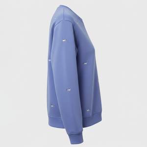 High Demanded Custom Printed Logo Lined <b>Blue</b> Casual Women's Sweatshirts Eco-Friendly Quick Dry Fleece Breathable Warm Summer - Product Image 2