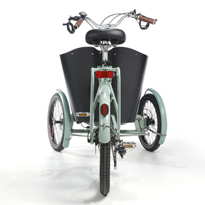 Elomóvil para ir de viaje a la familia, 250 W otor, talón Argo - Product Image 3