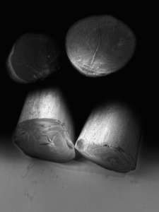 Le charbon de bois Halaban écologique de Merades en Indonésie à haut pouvoir calorifique pour une énergie efficace pour la Turquie - Product Image 4