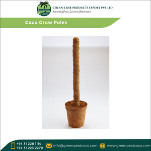 Highly in Demand Hot Selling 100% Natural Coir <b>Wrapped</b> in PP Coco Grow <b>Poles</b> for Supporting Plants at Lowest Price - Product Image 6