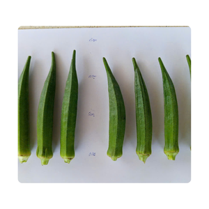 Okra congelada de Vietnam | Mejor precio para pedidos al por mayor - Product Image 4