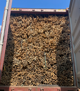 Varas de Bambú Gruesas y Duraderas para Decoración del Hogar, Estacas de Jardín y Manualidades - Product Image 5