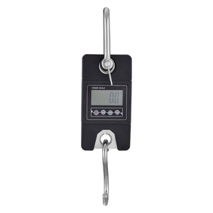 Bilancia Digitale Portatile 300 Kg - Product Image 1