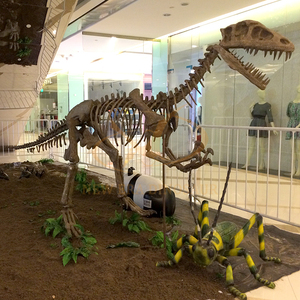 Fossiles <span class=keywords><strong>de</strong></span> dinosaures simulés animatroniques d'intérieur en taille réelle pour musée pour centres commerciaux aéroports garderies jardins d'enfants en métal - Product Image 1