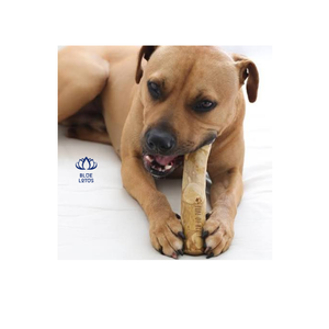 Bâton à mâcher pour chat en bois de café Blue Lotus Premium, écologique, durable, naturel, saveur de catnip, pour usage quotidien - VENTE CHAUDE - Product Image 1