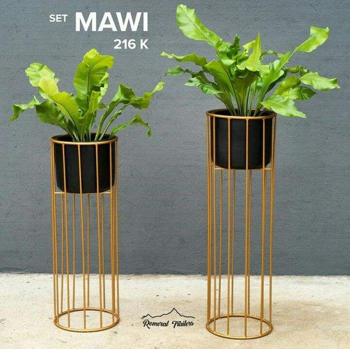 ตามที่แสดง