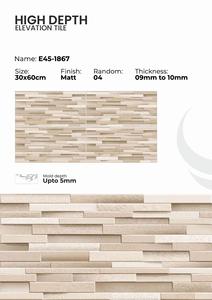 Panneaux d'élévation architecturaux design utilisant des carreaux muraux de haute profondeur de 300x600 mm à finition mate - Product Image 3