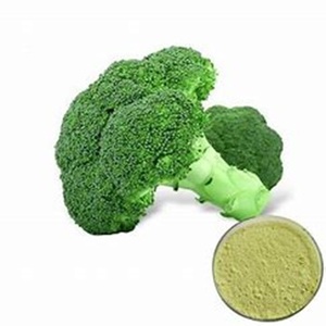 Brócoli fresco y denso en nutrientes de la mejor calidad, verduras crucíferas a la venta a un precio barato - Product Image 3
