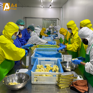 รสไทยแท้แช่แข็งทุเรียนหวานและครีมสำหรับขนมขนมสมูทตี้ iqf กระบวนการสูญญากาศแพ็ควันนี้! - Product Image 5