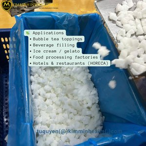 Cubes d'aloe vera surgelés de haute qualité, exportés en vrac par un fournisseur vietnamien - Product Image 6