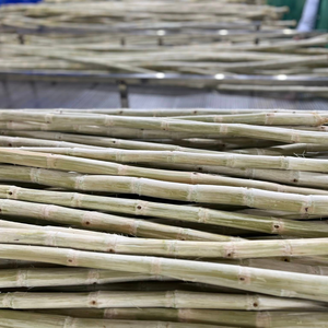 อ้อยแช่แข็งจากเวียดนาม | ฟาร์มโดยตรง | ผลิตภัณฑ์ฉลากสะอาดเพื่อสุขภาพ - Product Image 4