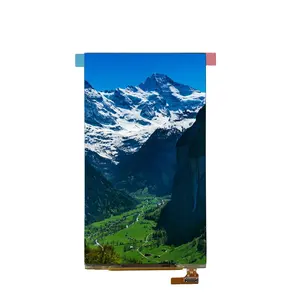 Display Screen Factory Price 5.5 Inch AMOLED Screen 720*1280 MIPI Interface Oled Displays Panel With Capacitive Touch Panel Oled Display