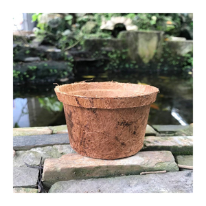 Macetas de coco respetuosas con el medio ambiente: ideales para invernaderos, balcones y proyectos de jardinería doméstica - Product Image 6