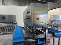 16-Head Elektrische Industriële Mango Dunschiller Automatische Fruit-En Groenteschilmachine