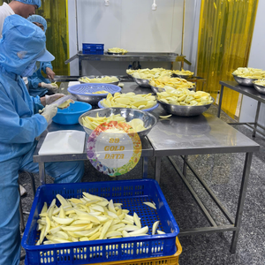 Tranches de mangue surgelées IQF de qualité supérieure, emballage en vrac avec conservation de l'eau pour une utilisation polyvalente dans les desserts, les smoothies, la pâtisserie - Caryln - Product Image 4