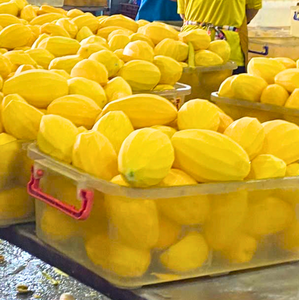 Rodajas de Mango Seco Natural Sin Azúcar Añadido, a Granel, 25 kg, Vietnam Dong Thap TECHMIFOOD, 12 Meses de Duración, Paquete de Regalo - Product Image 2