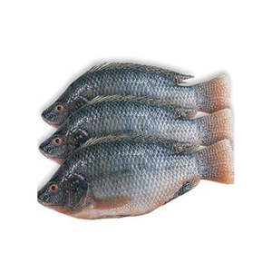 ปลาทูแช่แข็ง/ปลาขนาดคิงส์และปลาทูสเปน + บรรจุภัณฑ์ตามสั่ง - Product Image 6