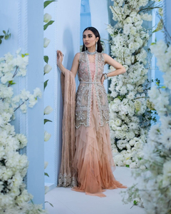Robes de mariée punjabi pour les fêtes de mariage personnaliser travail manuel brodé indien pakistanais collection traditionnelle - Product Image 5