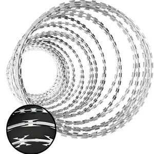 Alambre de Púas Galvanizado en Caliente, Resistente, Tipo <span class=keywords><strong>Concertina</strong></span> de 500 mm, <span class=keywords><strong>Precio</strong></span> <span class=keywords><strong>por</strong></span> <span class=keywords><strong>Metro</strong></span>, con Pistola Aplicadora - Product Image 5