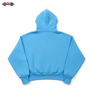 Haute qualité poids lourd surdimensionné 100% coton polaire hiver plaine teint hommes longueur régulière sweat à capuche bouffée impression 300gsm - Product Image 2